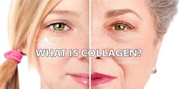 Tìm hiểu về Collagen.