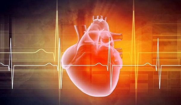 Nghiên cứu: Hướng đi mới trong điều trị bệnh suy tim