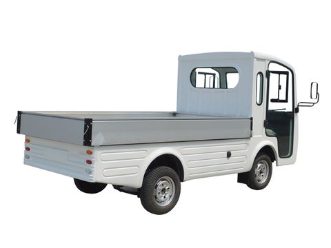 Sự Lột Xác của xe điện và hình thành một Thế Giới Xanh Thegioiotodien.vn