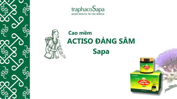 [Câu chuyện sản phẩm] - Cao Mềm Actiso Đảng Sâm Sapa