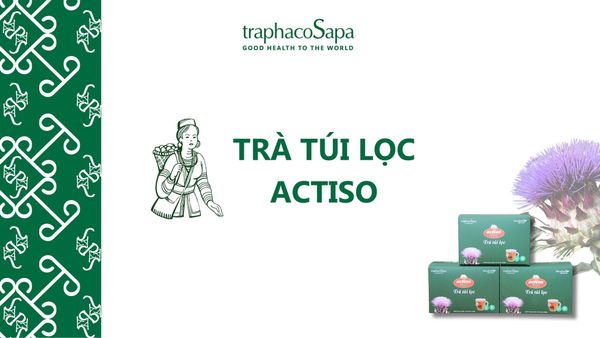 [Câu Chuyện Sản Phẩm] - Trà Túi Lọc Actiso Sapa