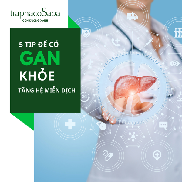 GAN KHỎE TĂNG HỆ MIỄN DỊCH VÀ 5 THÓI QUEN TỐT CHO GAN MÀ BẠN NÊN BIẾT
