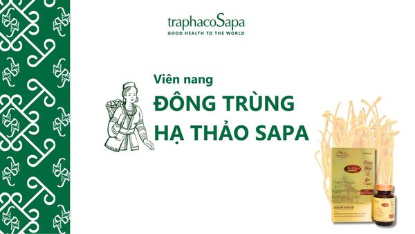 [Câu Chuyện Sản Phẩm] -  Viên nang đông trùng hạ thảo Sapa