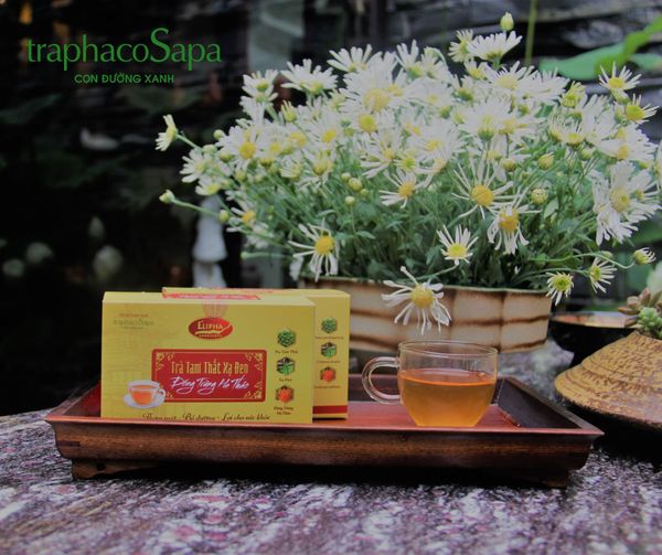 Tác dụng của nụ hoa tam thất và cách sử dụng sao cho hiệu quả