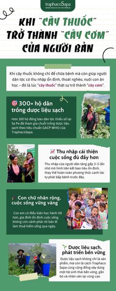 Khi “Cây Thuốc” Trở Thành “Cây Cơm” Của Người Bản