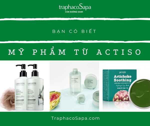 Bạn có biết Actiso được sử dụng trong mỹ phẩm rất nhiều không ?