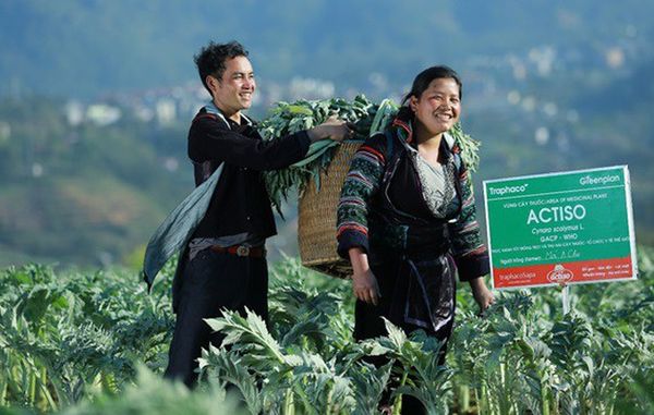 CÂU CHUYỆN DỰ ÁN EFD #3 TRAPHACO SAPA VÀ 