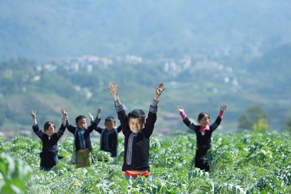 TRAPHACOSAPA MISSION:  “ ENHANCING  HUMAN WELLNESS VIA ECOLOGICAL CONCEPTION”