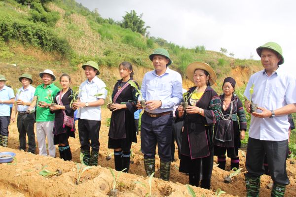 Thị xã SaPa tổ chức Lễ phát động “Phong trào trồng dược liệu gắn với sản xuất các sản phẩm chăm sóc sức khỏe” năm 2022