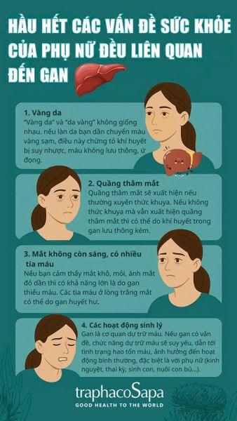 HẦU HẾT CÁC VẤN ĐỀ SỨC KHỎE CỦA PHỤ NỮ ĐỀU LIÊN QUAN ĐẾN GAN