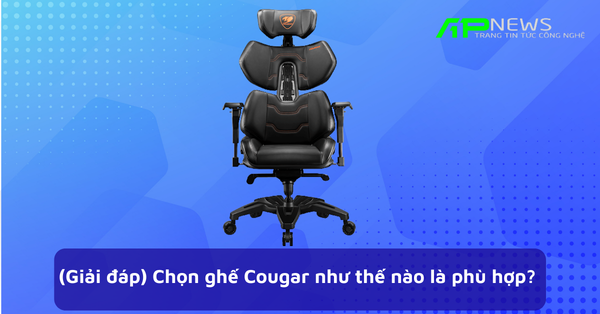 (Giải đáp) Chọn ghế Cougar như thế nào là phù hợp?