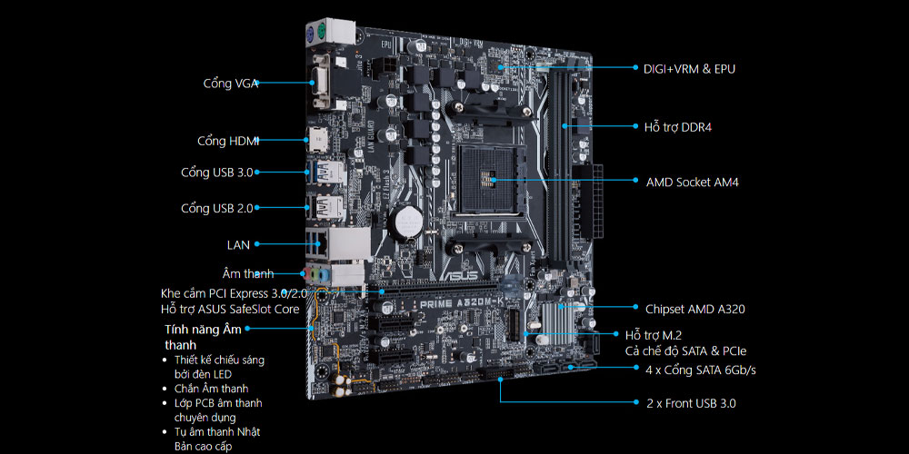 Hình ảnh sản phẩm