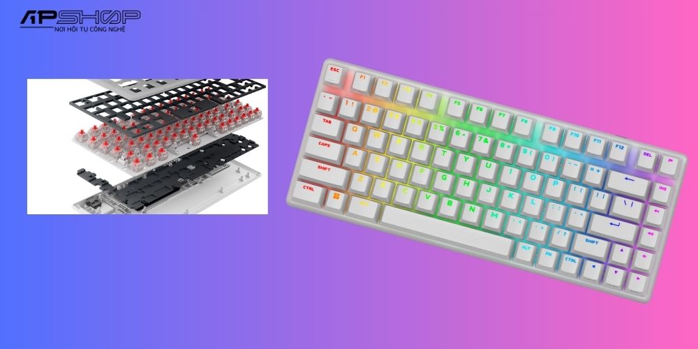 Hình ảnh sản phẩm