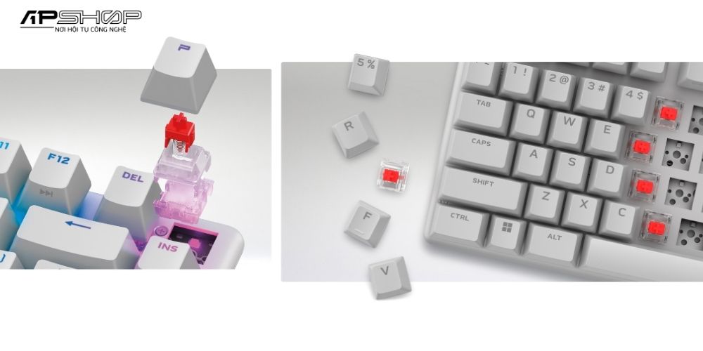 Hình ảnh sản phẩm