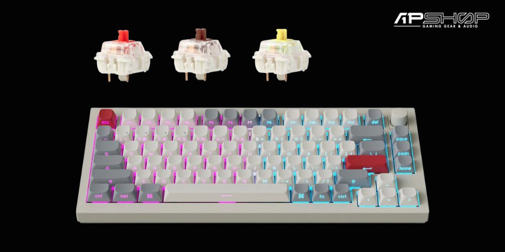 Hình ảnh sản phẩm