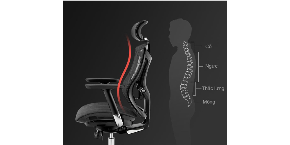 Hình ảnh sản phẩm