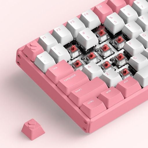 Switch bàn phím Iqunix F96 Pink Mechanical Keyboard