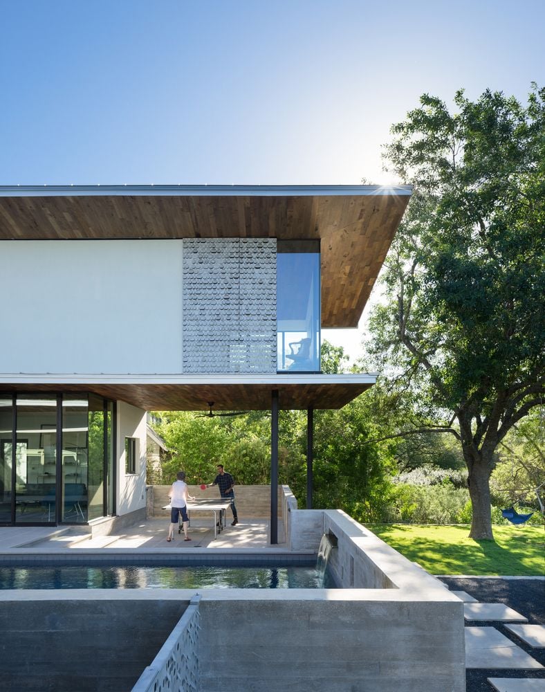 Một thân cây dòng Live Oak to lớn được trồng ở một bên nha