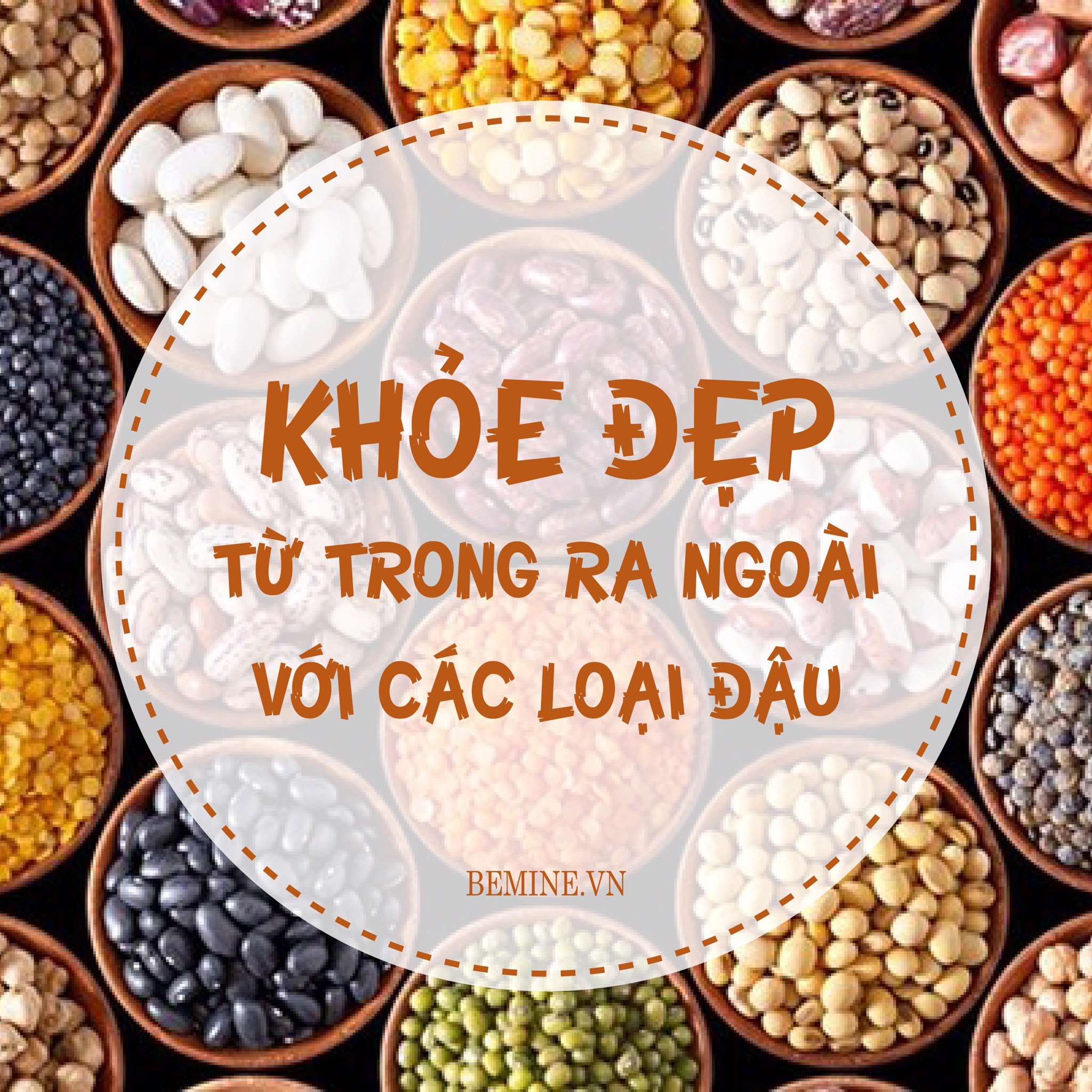 KHOẺ ĐẸP TỪ TRONG RA NGOÀI VỚI CÁC LOẠI ĐẬU