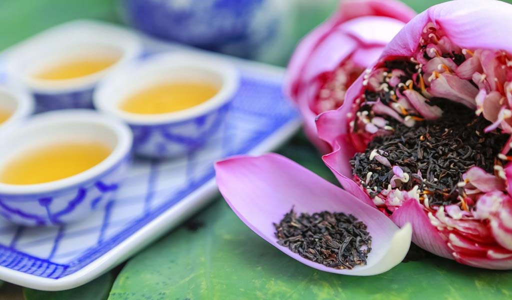 Trà sen Tây Hồ - Nữ hoàng trà Việt?