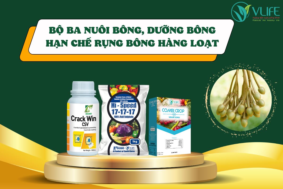 NGUYÊN NHÂN GÂY RA RỤNG BÔNG HÀNG LOẠT TRÊN SẦU RIÊNG????