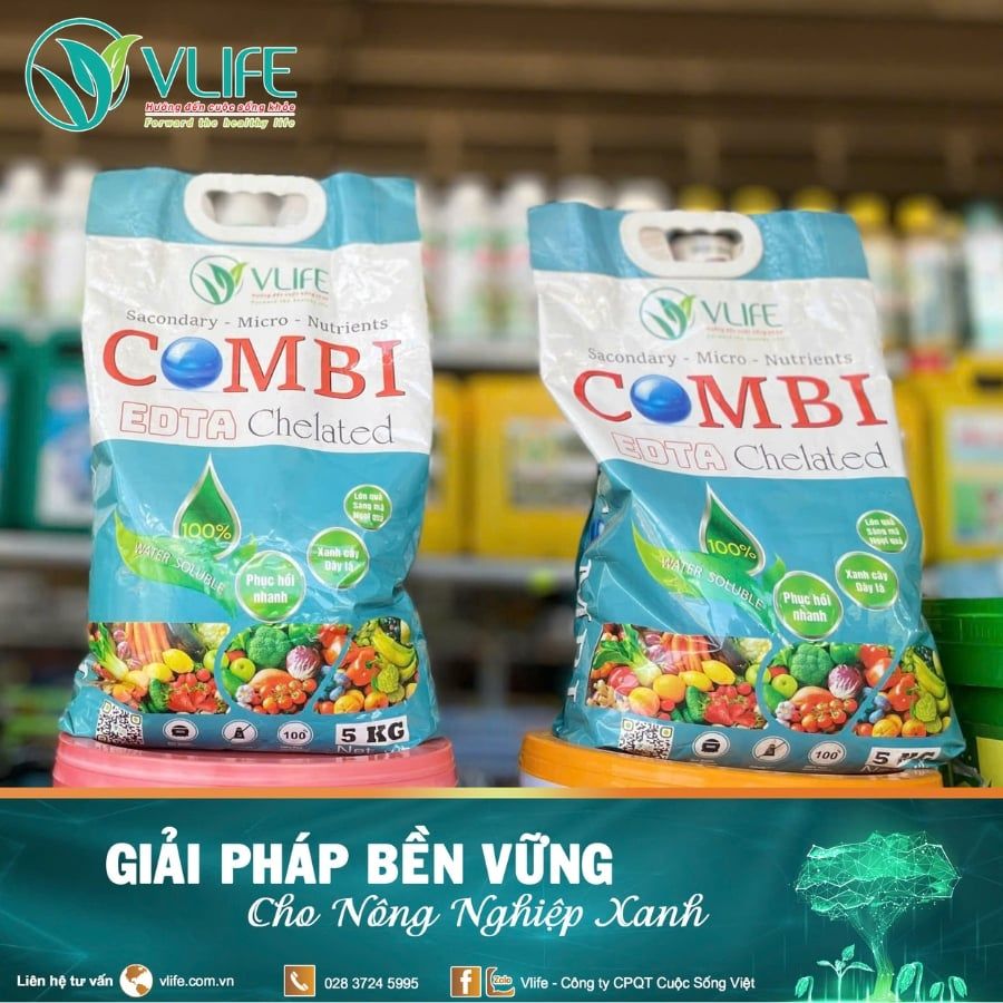 COMBI – BÍ QUYẾT NUÔI CÂY KHỎE, TRÁI ĐẸP CHO BÀ CON NÔNG DÂN
