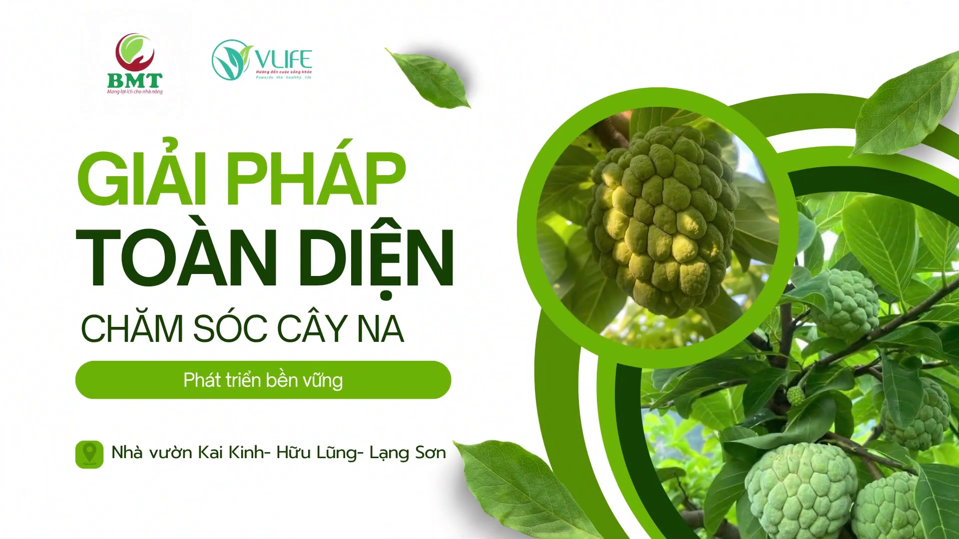 ĐỒNG HÀNH CÙNG NHÀ VƯỜN – LAN TỎA GIÁ TRỊ ĐẾN TỪNG VƯỜN NA