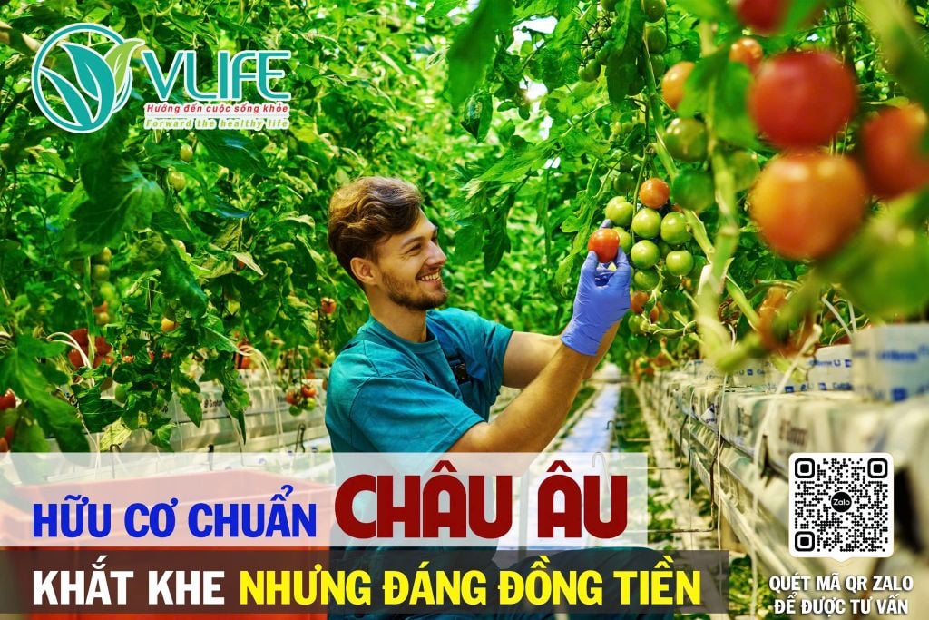 HỮU CƠ CHUẨN CHÂU ÂU – KHẮT KHE NHƯNG ĐÁNG ĐỒNG TIỀN