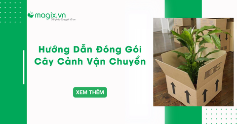 Hướng dẫn đóng gói cây cảnh vận chuyển xa an toàn, đúng cách