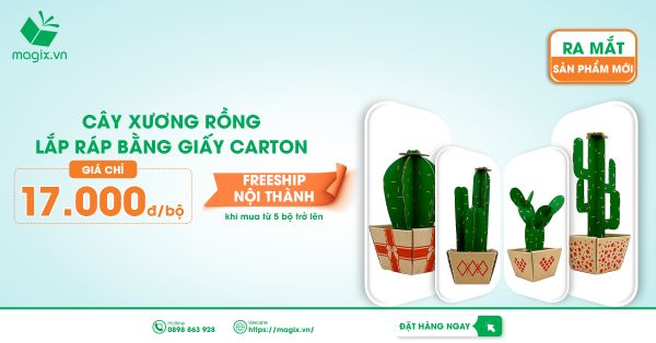 [Ra Mắt Sản Phẩm Mới] Cây Xương Rồng Lắp Ráp Bằng Giấy Carton
