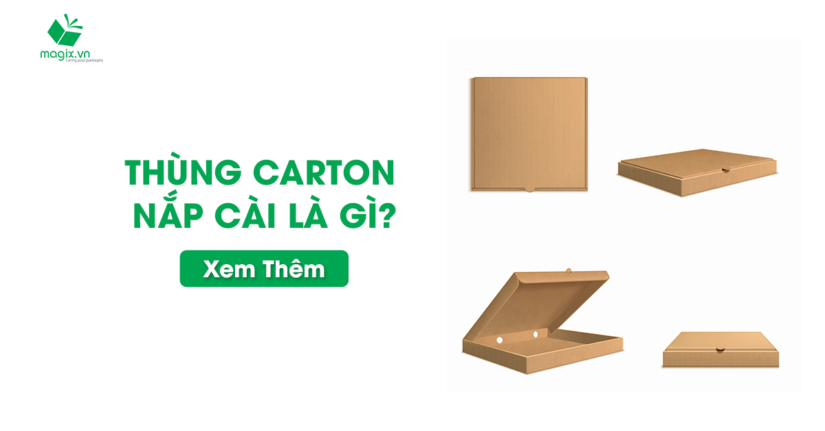 Thùng Carton Nắp Cài Là Gì? 4 Công Dụng Tuyệt Vời