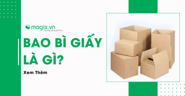 Bao Bì Giấy Là Gì? 6 Loại Phổ Biến Nhất Hiện Nay
