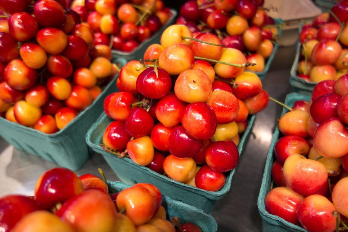 Giá Cherry & Các Giống Giòn Ngọt Nhất tại Việt Nam