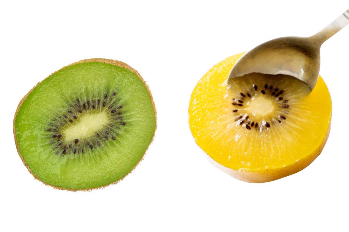 SO SÁNH KIWI XANH với KIWI VÀNG ZESPRI