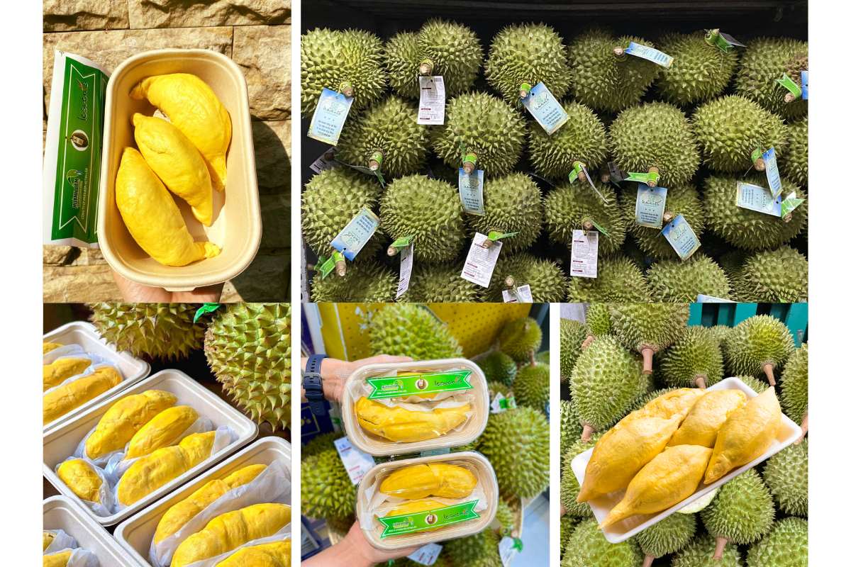 Nên Mua Sầu Riêng Ở Đâu tại TP.HCM?