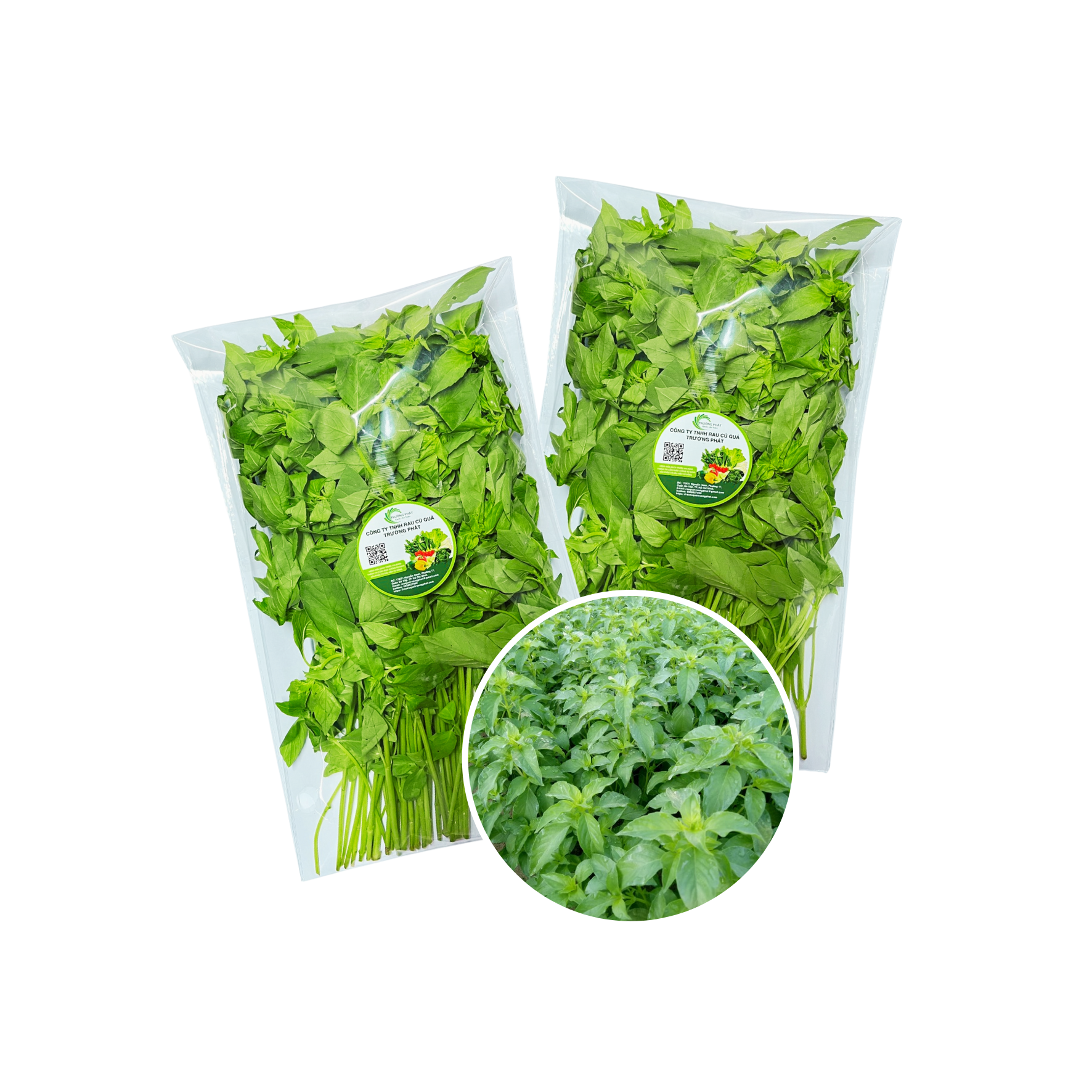 Rau Ăn Lá | Farmers Market