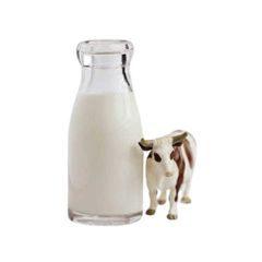 Sữa Động Vật
