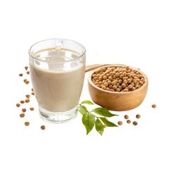 Sữa Thực Vật