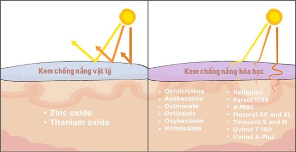 kem-chong-nang-vat-ly-kem-chong-nang-hoa-hoc