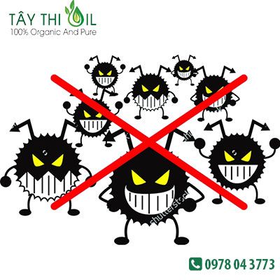 công dụng của tinh dầu treo xe 3