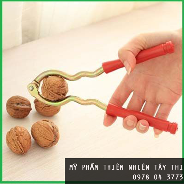 hạt óc chó 15