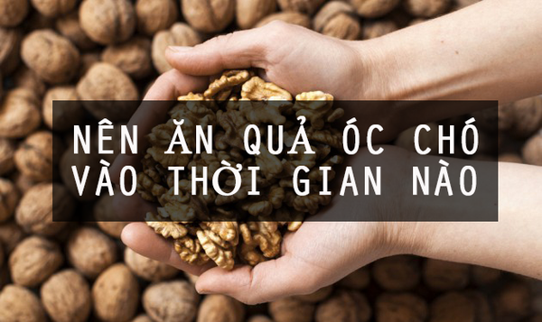 hạt óc chó 23