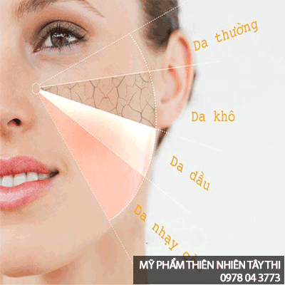 thành phần các chất của mặt nạ dừa cửu long 2in1