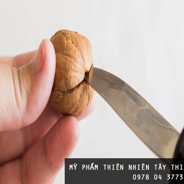 hạt óc chó 16