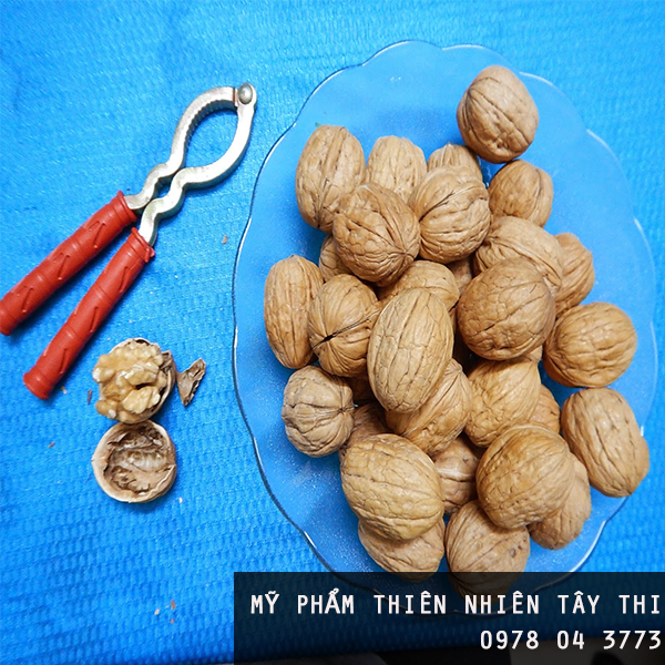 hạt óc chó 19