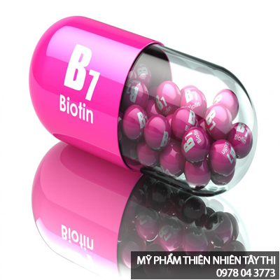 thành phần các chất có trong dầu gội biotin collagen ogx 1