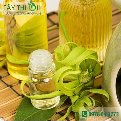 tinh dầu ngọc lan tây