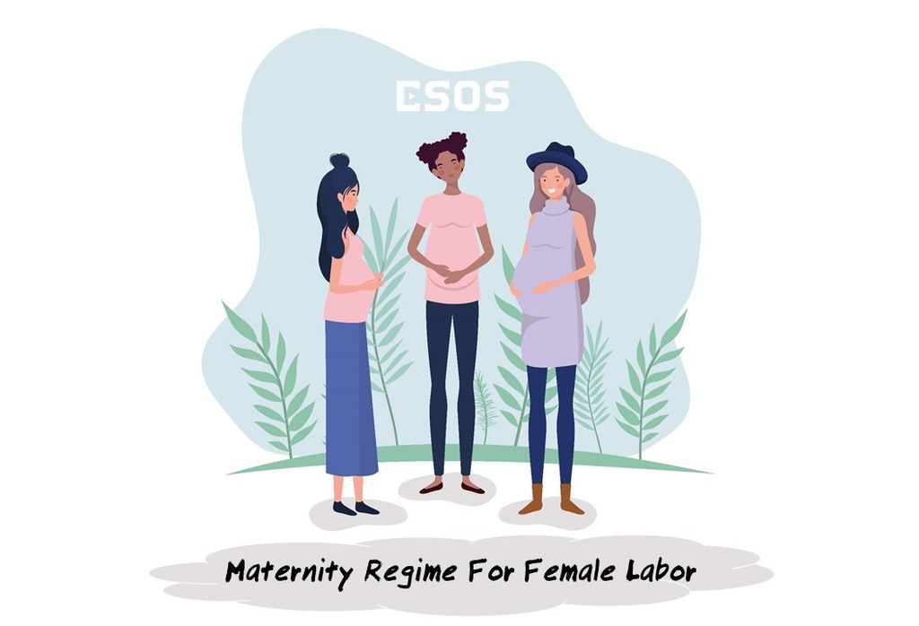 maternity-regime-for-female-labor-in-vietnam