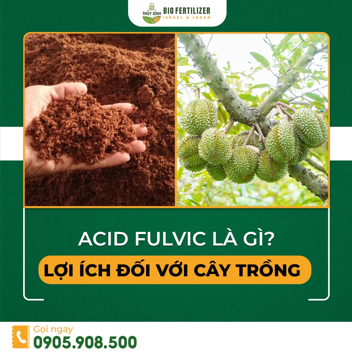 Acid fulvic là gì? Lợi ích của axit fulvic đối với cây trồng