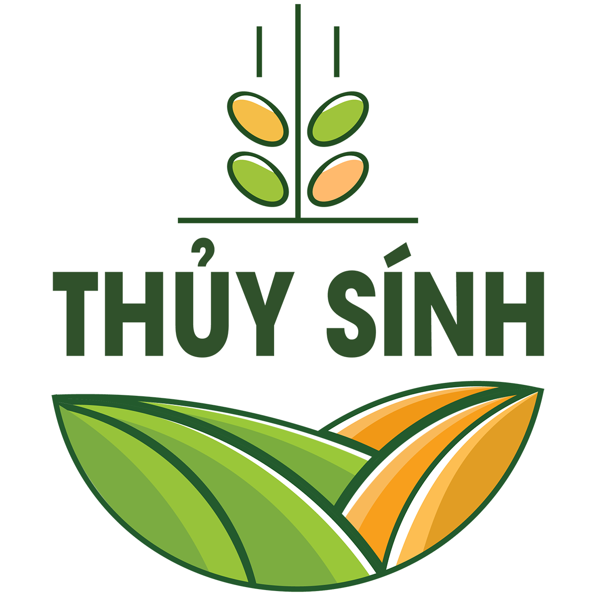 Kỹ Thuật Viên Thanh Thuận